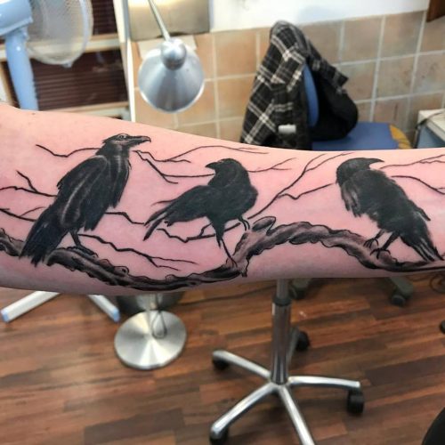 ravne crows tattoo tatovering