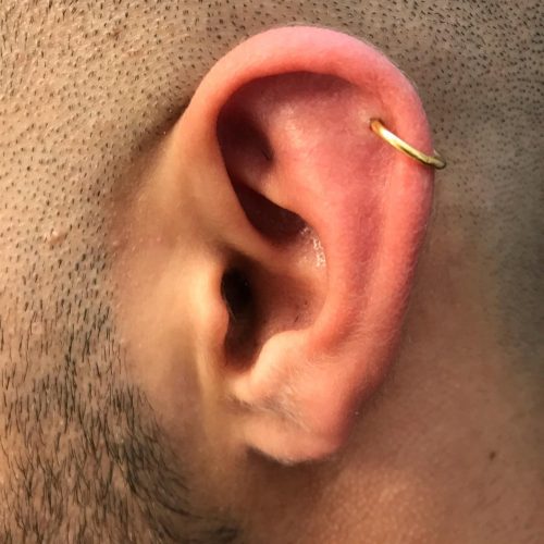 helix piercing cartilage ørekant segment ring