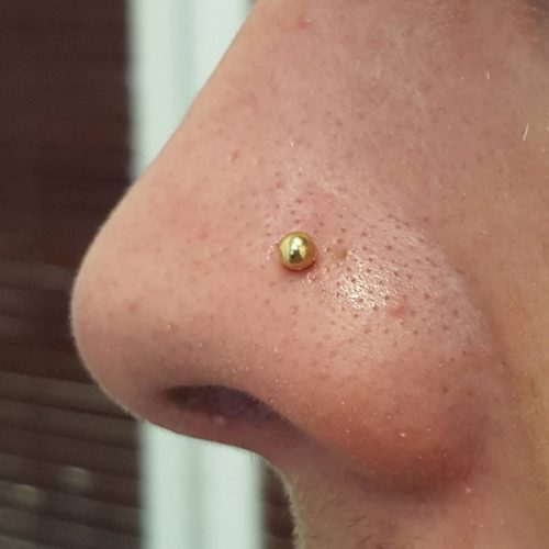 næsefløj nose piercing unisex